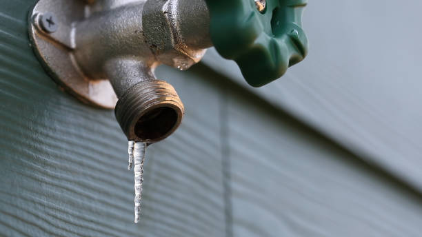 Best Emergency Plumber  in Dunlap, IA
